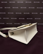 Dior 30 Montaigne East-West with Chain in Latte